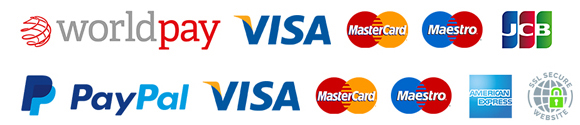Secure Card Payments at Frozen Fast Food With Worldpay & PayPal